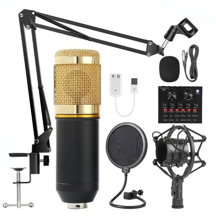 BM 800 microphone karaoké BM800 studio condensateur mikrofon micro bm ...