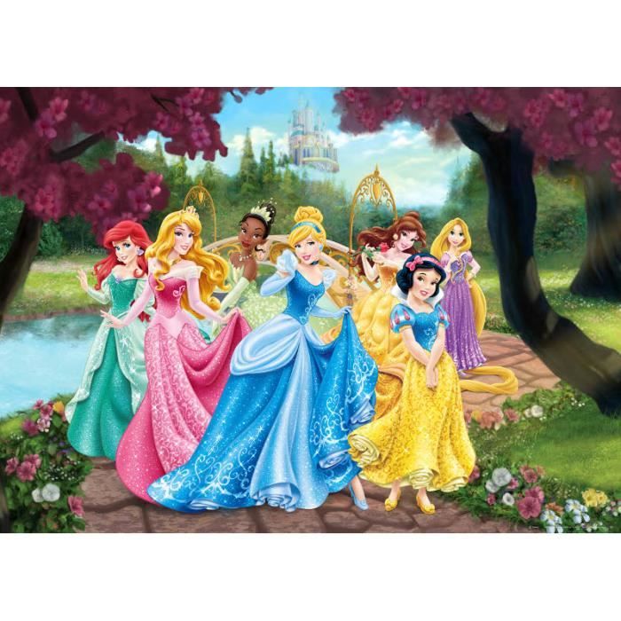 Poster XXL Princesse Disney - ChâteauQualité numériqueCollection :  Cendrillon, Tiana, Aurore, Blanche Neige, Ariel, Belle, Raiponce -  Cdiscount Maison