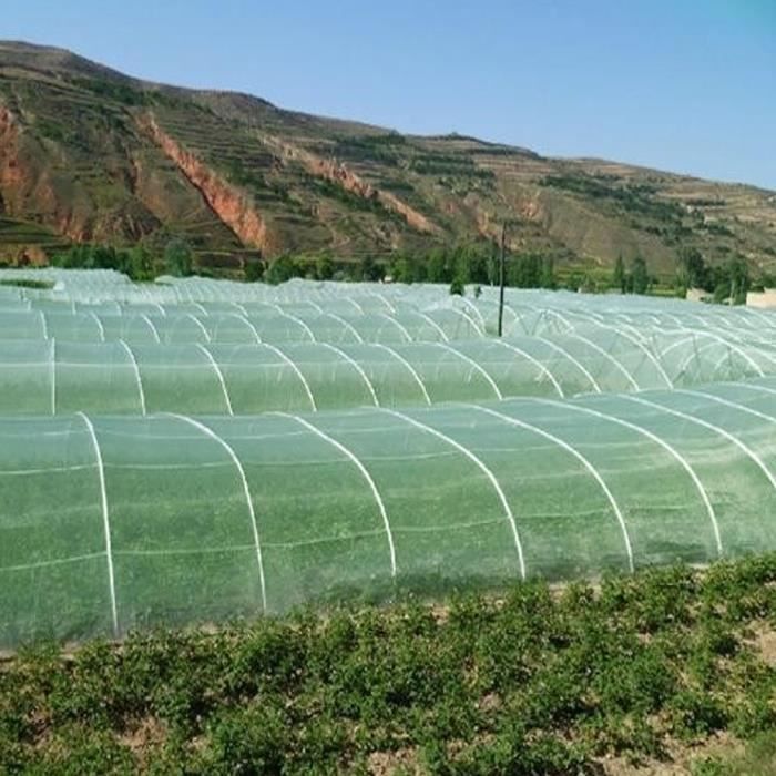 Drfeify couverture de filet anti-insectes Couverture de filet de jardinage en filet anti-insectes anti-mouches pour fruits de