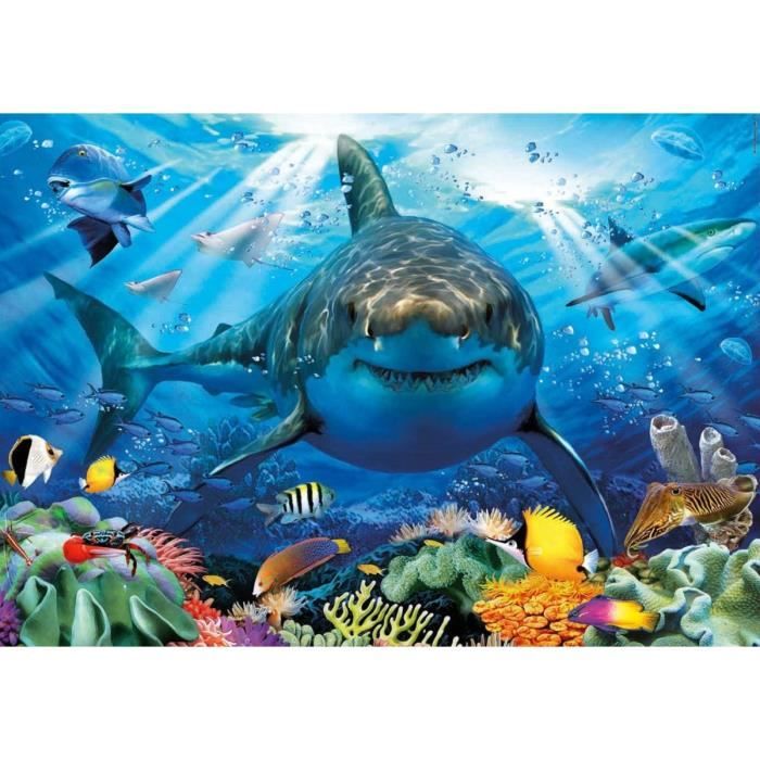Manta puzzle shop