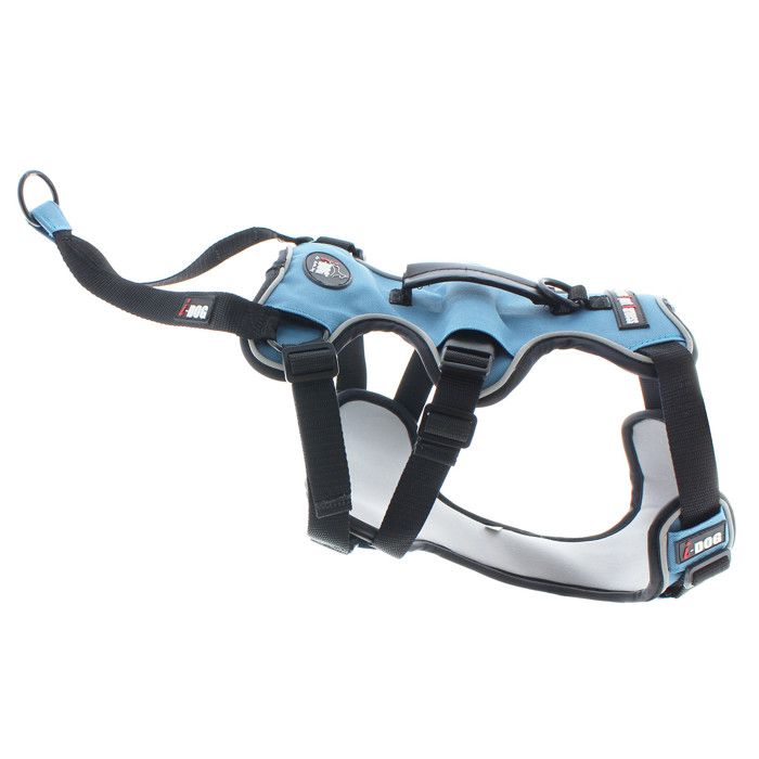 Harnais CONFORT I-DOG taille S Bleu