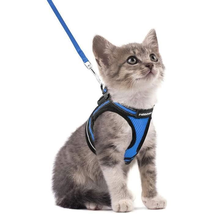 Comparer les prix de Rabbitgoo Harnais Chat Harnais pour chaton/petit chien Harnais Respirant et Bande Réfléchissante réglables -Taille S -Bleu