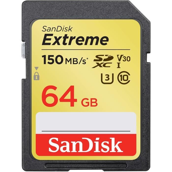 SD carte mémoire SanDisk 1 Go Secure Digital 