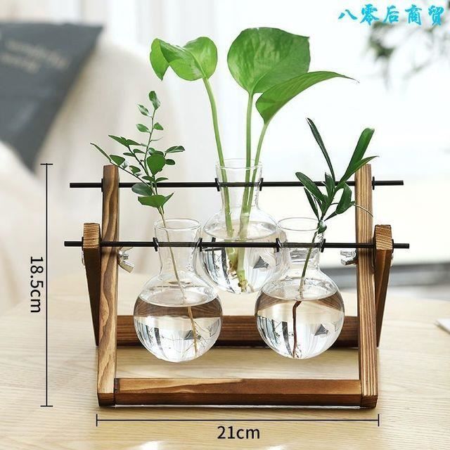 Vase En Verre Carré Transparent UKCOCO - 10x10x10 Cm Ou 15x15x15 Cm - Pour Plantes Hydroponiques Ou Fleurs Coupées