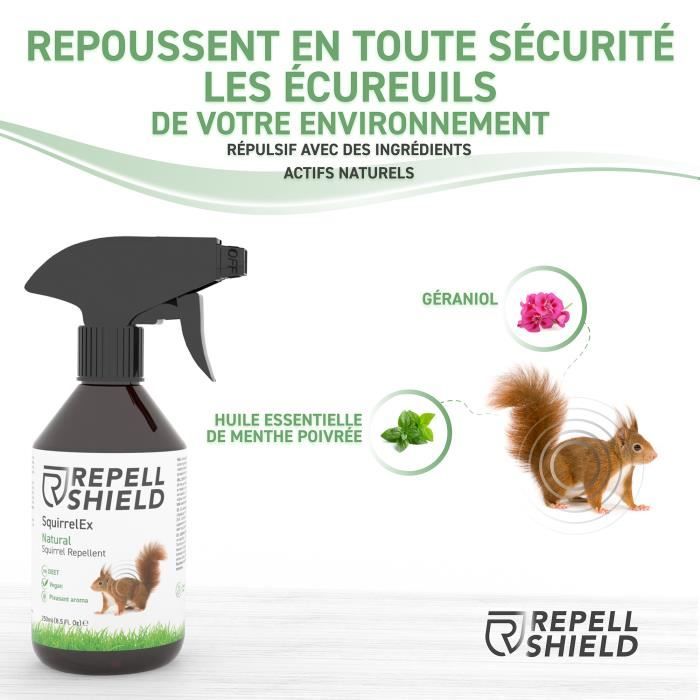 RepellShield Spray Anti Cafard 250ml - Menthe Poivrée Ultra Concentré | Action Longue Durée