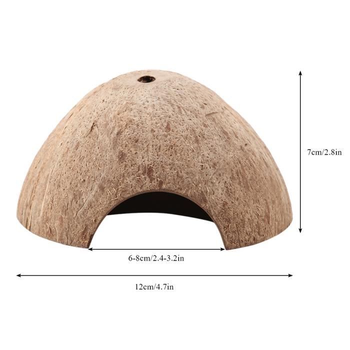 2 Cachettes Reptile En Forme De Coquille De Noix - Abri Pour Tortue, Gecko, Lézard | Décor Terrarium 12x12x7 Cm - 2