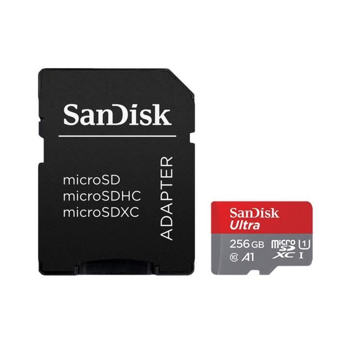 256 Go Mémoire Carte Micro SD Card SanDisk 100Mb-s Original TF Card U1 C10  A1 Memory Card - Cdiscount Appareil Photo