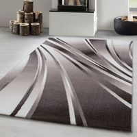 Tapis de salon moderne à design Tapis à poils ras, couleurs tendance, tapis moelleux, Marron Tapis 80 x 150 cm