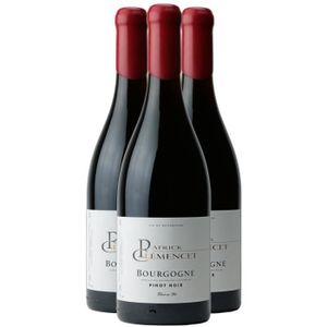 VIN ROUGE Bourgogne Pinot Noir Fûts de Chêne Rouge 2022 - Lot de 3x75cl - Patrick Clémencet - Vin AOC Rouge de Bourgogne