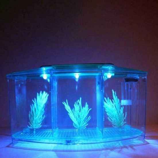 Aquarium en Verre avec Couvercle et lumières LED, Aquarium LED d'éclairage, Complet Bocal Poisson, Cadeaux Créatifs pour Enfant et A