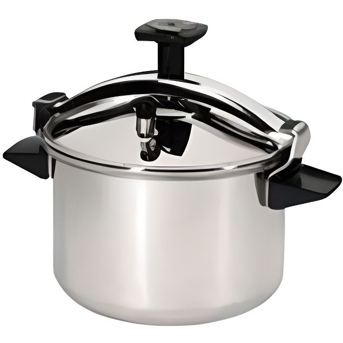 SEB Cocotte Cuiseur 10L Inox Fond diffusal Tout feux Livre de recette inclus