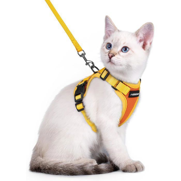 Comparer les prix de Harnais Chat Laisse Pour Chat Harnais Pour Petit Chien Souple et Réglable Veste Bandes Réfléchissantes Orange et Jaune XXS