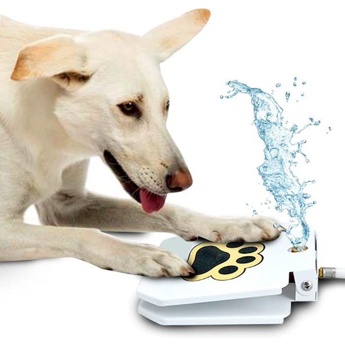 Meilleurs prix pour TrioGato - Fontaine de Jardin pour Animaux de Compagnie. Distributeur deau à pédale pour Chien. Protégez Votre Animal de la