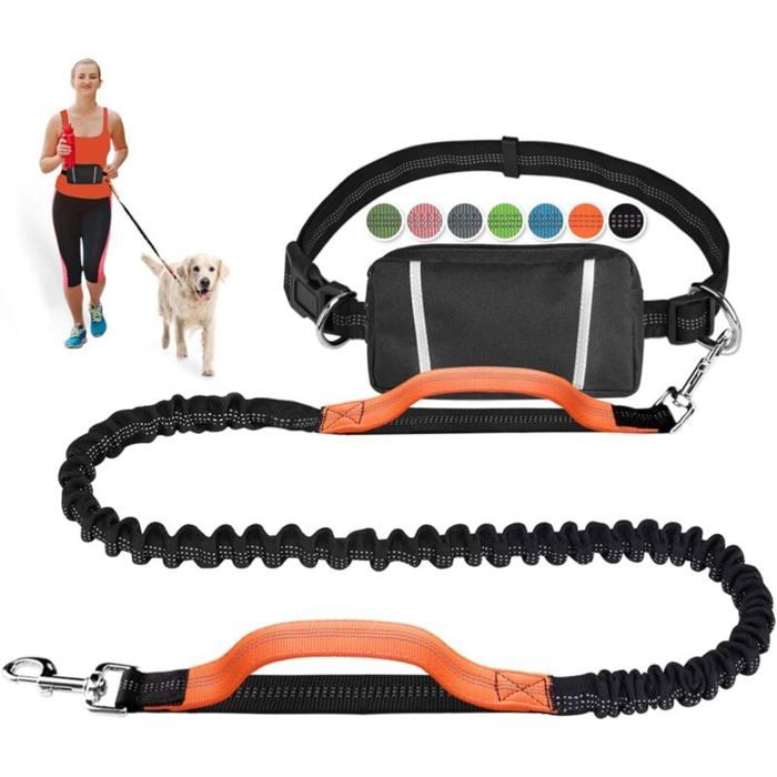 Laisse pour chien - PZCC - Mains libres élastique - Rétractable - Pour jogging - Taille moyenne à grande