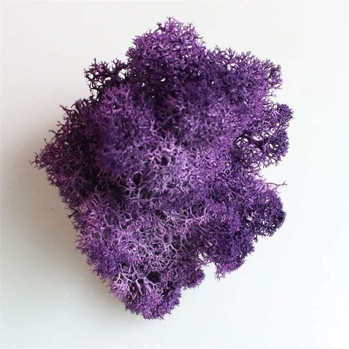 Huntgold2-Mousse Artificielle Miniature Mousse Lichen,décoration pour Salon Mur DIY,Artificielle Fleurs Herbe pour Décoration,10g-Rose 
