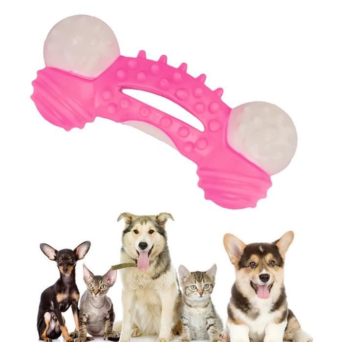 jouet pour chien resistant