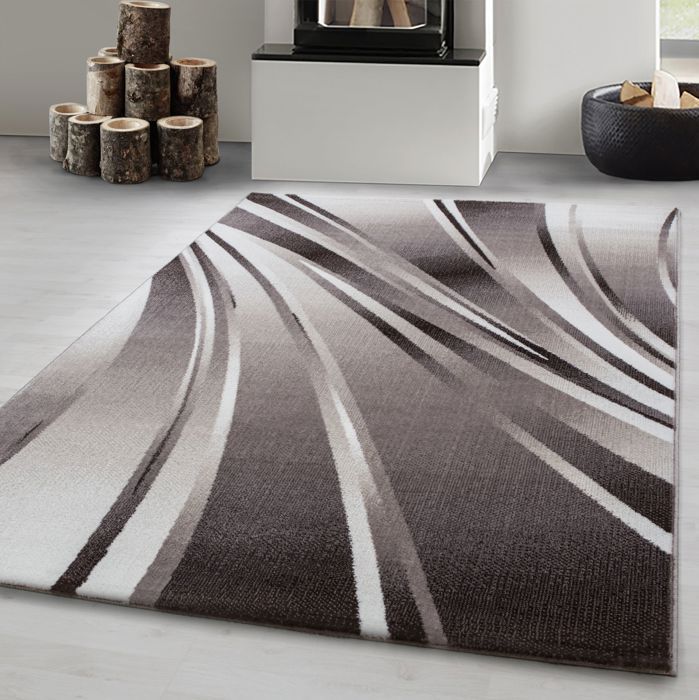 Tapis de salon moderne à design Tapis à poils ras, couleurs tendance, tapis moelleux, Marron Tapis 80 x 150 cm