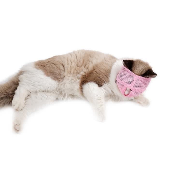 Naisidier Museliere Anti Morsure Chat Museliere Ajustable Maille Respirante Empechant Les Chats Mastiquer Pour Chat Cdiscount Naisidier Museliere Anti Morsure Chat Museliere Ajustable Maille Respirante Empechant Les Chats Mastiquer Pour Chat Cdiscount