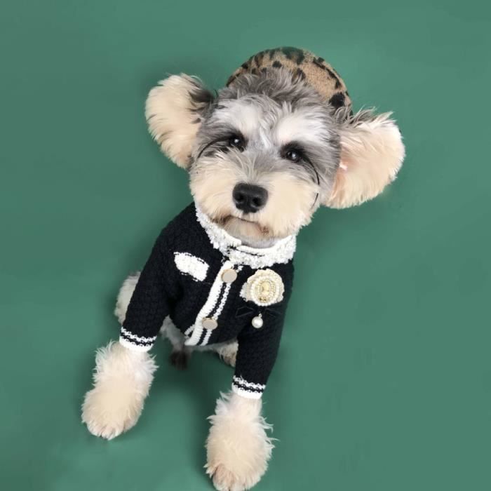 Manteau shop pour chiwawa