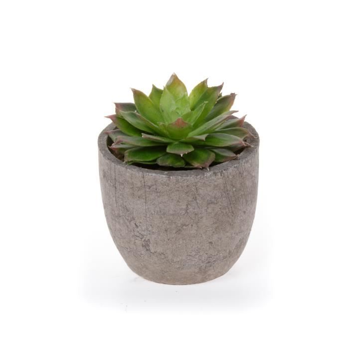 T4u Petite Plante Artificielle En Plastique Simulation Herbe