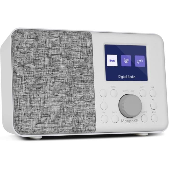 Radio Portable Inefala Dab+ Et FM - Bluetooth, écran Couleur, Double Alarme, Alimentation Par Batterie - Idéale Pour La Maison Et L'extérieur