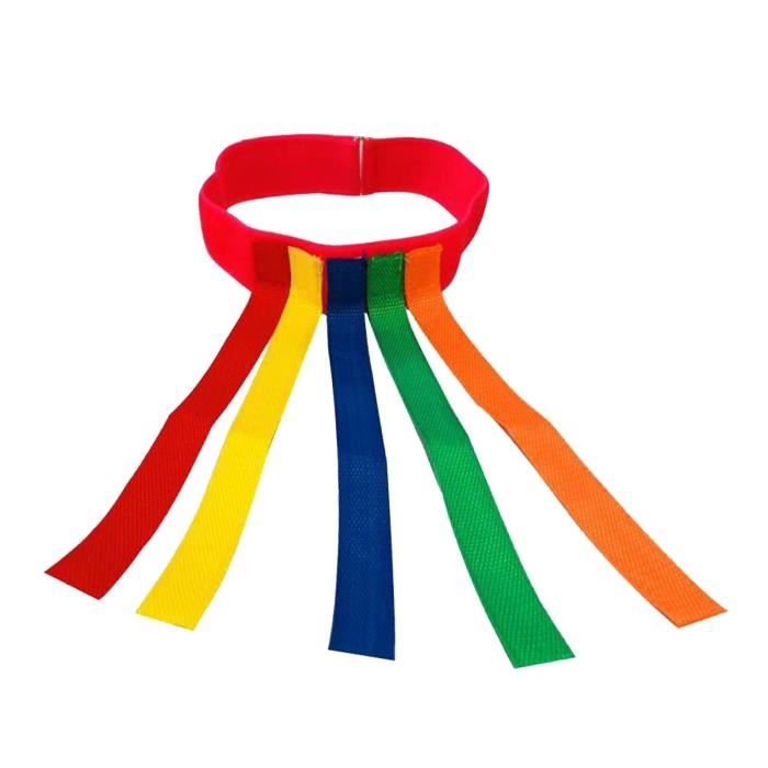 Stylebest Ceinture de Jeu Catch Tail, équipement D'entraînement Interactif coloré pour Activités Familiales en Plein Air, Tissu Léger, 1 unité (Bleue Stylebest Ceinture de Jeu Catch Tail, équipement D'entraînement Interactif coloré pour Activités Familiales en Plein Air, Tissu Léger, 1 unité (Bleue