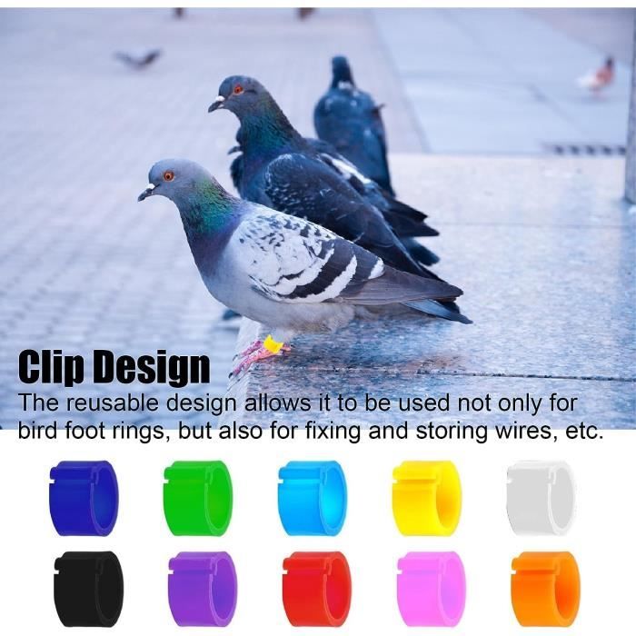 Anneaux Identification Pour Pigeons - 12 Pièces Aluminium Léger, Clip Facile à Poser, Pour Pigeons, Perruches, Volailles