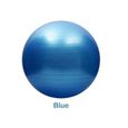 BTH16781-NEUFU Ballon de Gymnastique Avec Pompe Anti-éclatement épaissie PVC Fitness Balance Ball Bleu 65cm-0