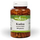 NAT ET FORM Nat & Form Original Kudzu 200 gélules