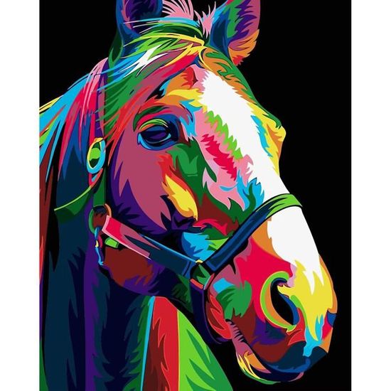 Peinture Par Numéro Pour Adultes Kit Peinture Par Numéros TISHIRON - Coucher De Soleil Sur Mer - Toile 40.6x50.8cm - Acrylique Avec Pinceaux Aquarelle Acrylique