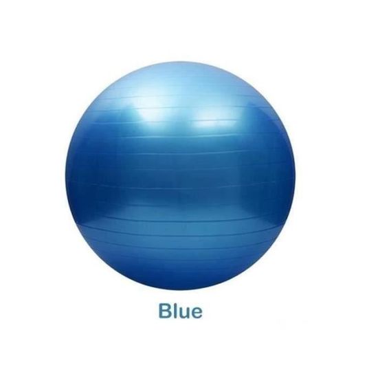 BTH16781-NEUFU Ballon de Gymnastique Avec Pompe Anti-éclatement épaissie PVC Fitness Balance Ball Bleu 65cm