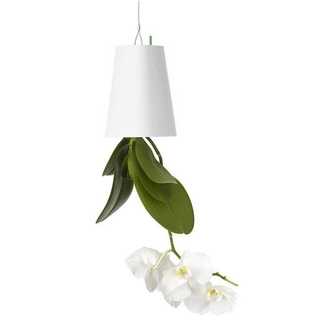 TRIXES Pot Renversé pour Plante Pot de Fleur Accrochée Tête en Bas Jardinière Aérienne
