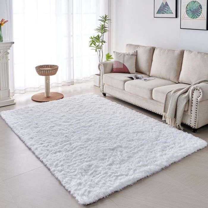 Tapis salon hirsute 100x160 cm - descente de lit chambre grande taille tapis poi