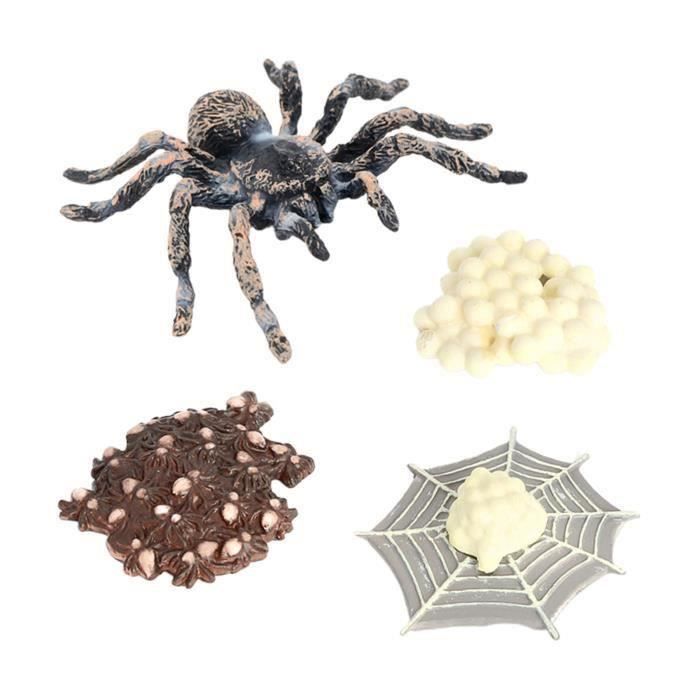 Lot De 4 Fausses Araignées Réalistes – Modèles Effrayants Pour Farces Et éducation