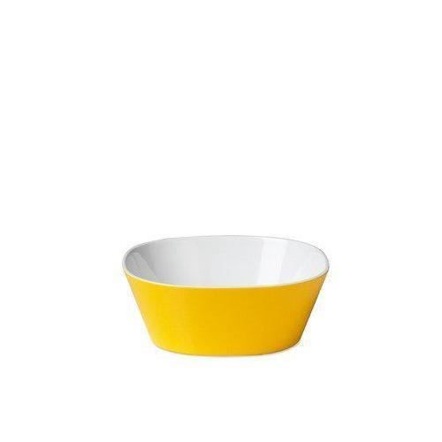 Kit De Moule Et Spatule Pour Résine Composite Dentaire - Pour Facettes Dentaires Antérieures, Photopolymérisables