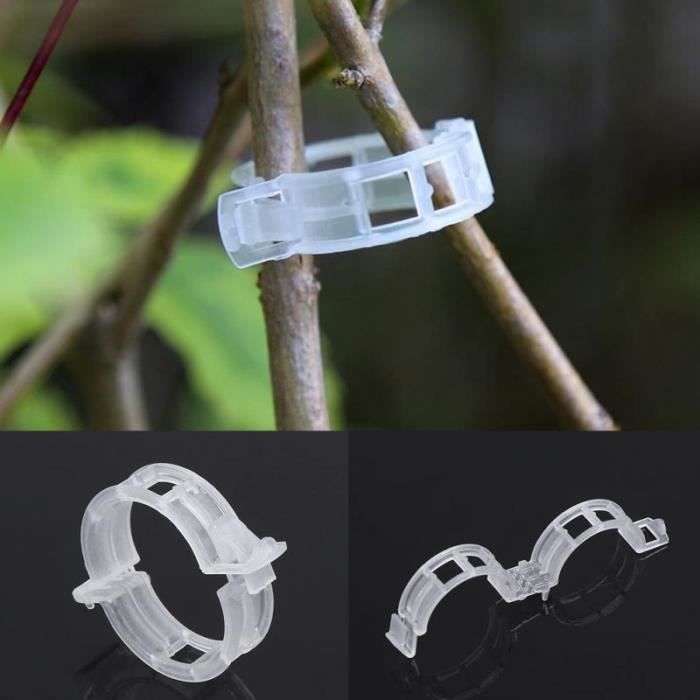 100 Anneaux De Jardin En Plastique Vert - Clips Pour Tuteurer Tomates, Plantes Grimpantes, Légumes