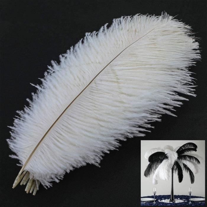 Plume blanche - Lot de 20