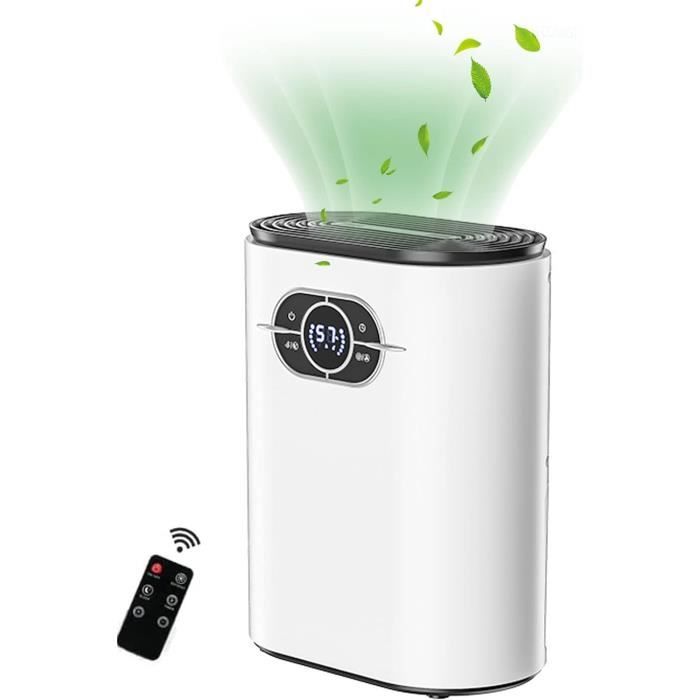 Deshumidificateur d'Air Électrique 2 Niveaux, Silencieux Deshumidificateur d'Air Électrique 2 Niveaux, Silencieux