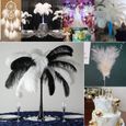 TD® 20 x plumes d'autruche naturel 25-30cm blanc fetes decoration - Plumes naturelles pour décorations maisons-1