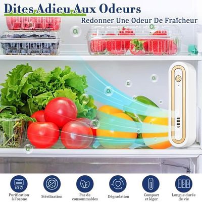 Purificateur D'Air Réfrigérateur Oxygène Actif - Désodorisant Stérilisant USB Ou Piles