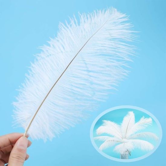 Lot 10 Plumes D'autruche Naturelles 30 à 35 Cm Plumes Pour Lot 10 Plumes D'autruche Naturelles 30 à 35 Cm Plumes Pour
