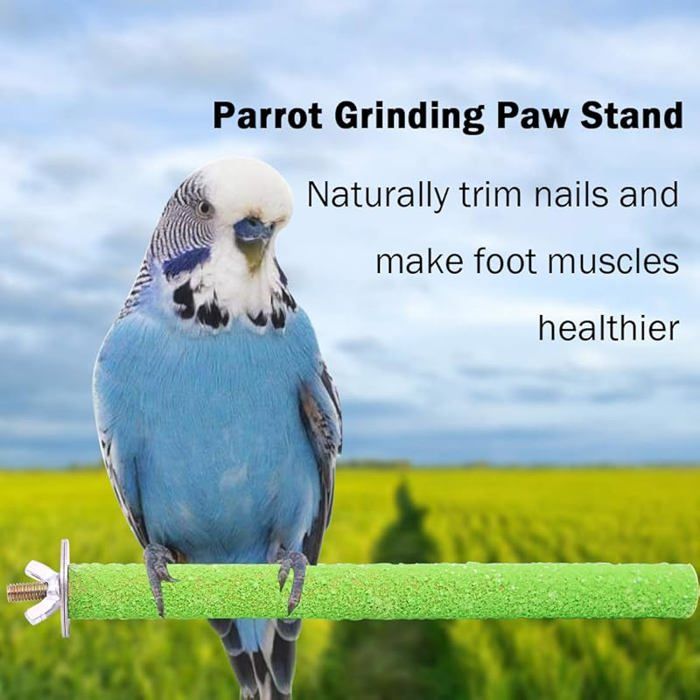 Bird Swing Perch Grimpant Jouet Corde De Coton Matériau À La Main Sans Danger Pour Les Perroquets 2024 Fournitures Pour Animaux De Compagnie Du 12,94 € | DHgate