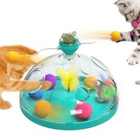 Jouet pour chat, baguette d'amusement pour chat, cadeau offrant stimulation et divertissement aux animaux de compagnie