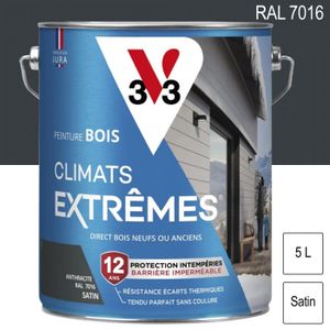 PEINTURE - VERNIS Peinture bois extérieur Climats Extrêmes RAL 7016 