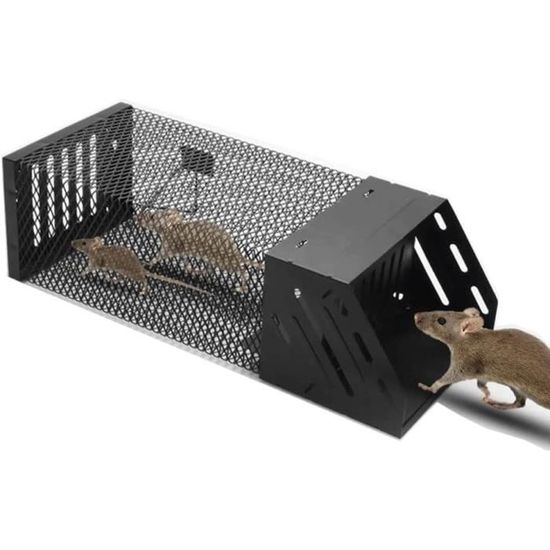AJWPiege A Souris Piège Anti Souris Attrape A Souris VivanteCage Efficace Contre Les Rongeurs