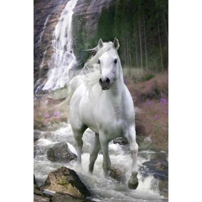 LE CHEVAL . STICKERS AUTOCOLLANT POSTER A4 ANIMAUX SAUVAGE