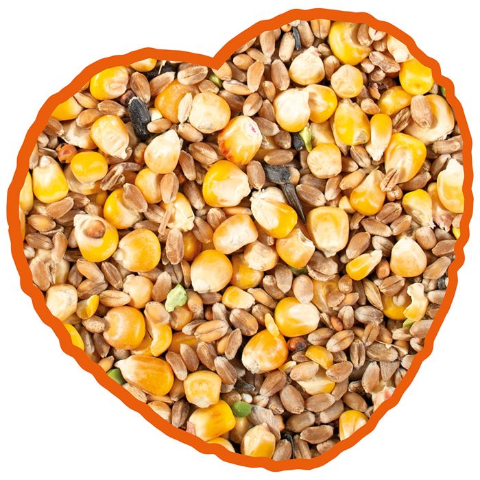 Comparer les prix de Grains au maïs complet pour poules Duvoplus - 4,5 kg