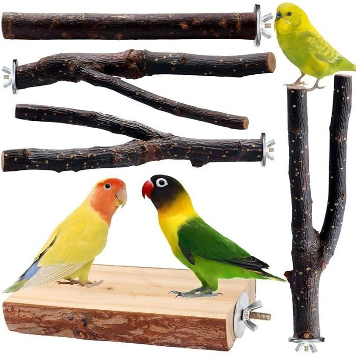 Jouets pour oiseaux Perche Perche Perche Perchoir bois Fourche Jouets Multi-branches Perchoir Plateforme Jouet pour petits conures