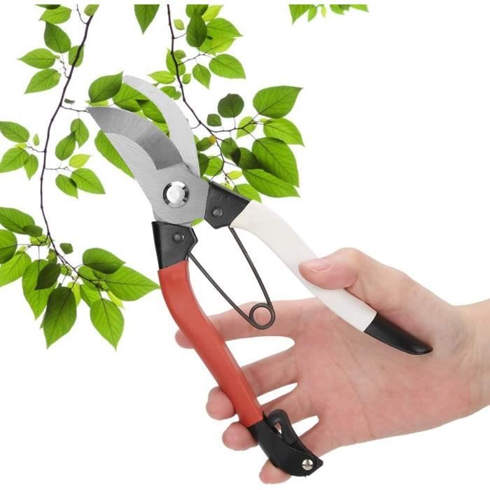 Sécateur à Manche Long 1m En Alliage D'Aluminium - Coupe Branche, Ciseaux Jardinage Pour Tailler Les Branches Et Cueillir Des Fruits - Facile à