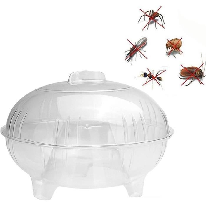 3 Pièges à Mouches Extérieurs Avec Appât - Écologique Et Non Toxique - Pour Maison, Jardin, Ferme